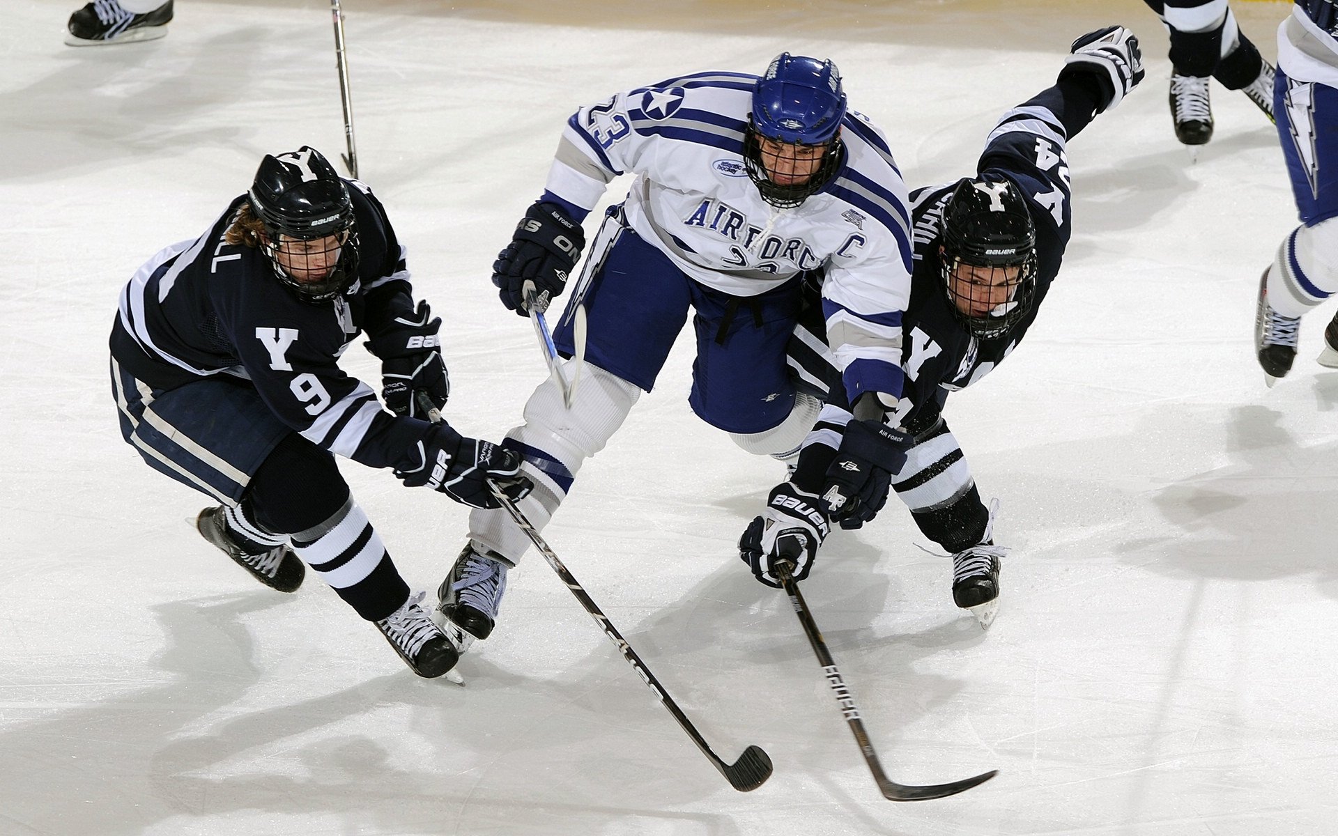 体测调整方案因地制宜保障公平，体测是否合理